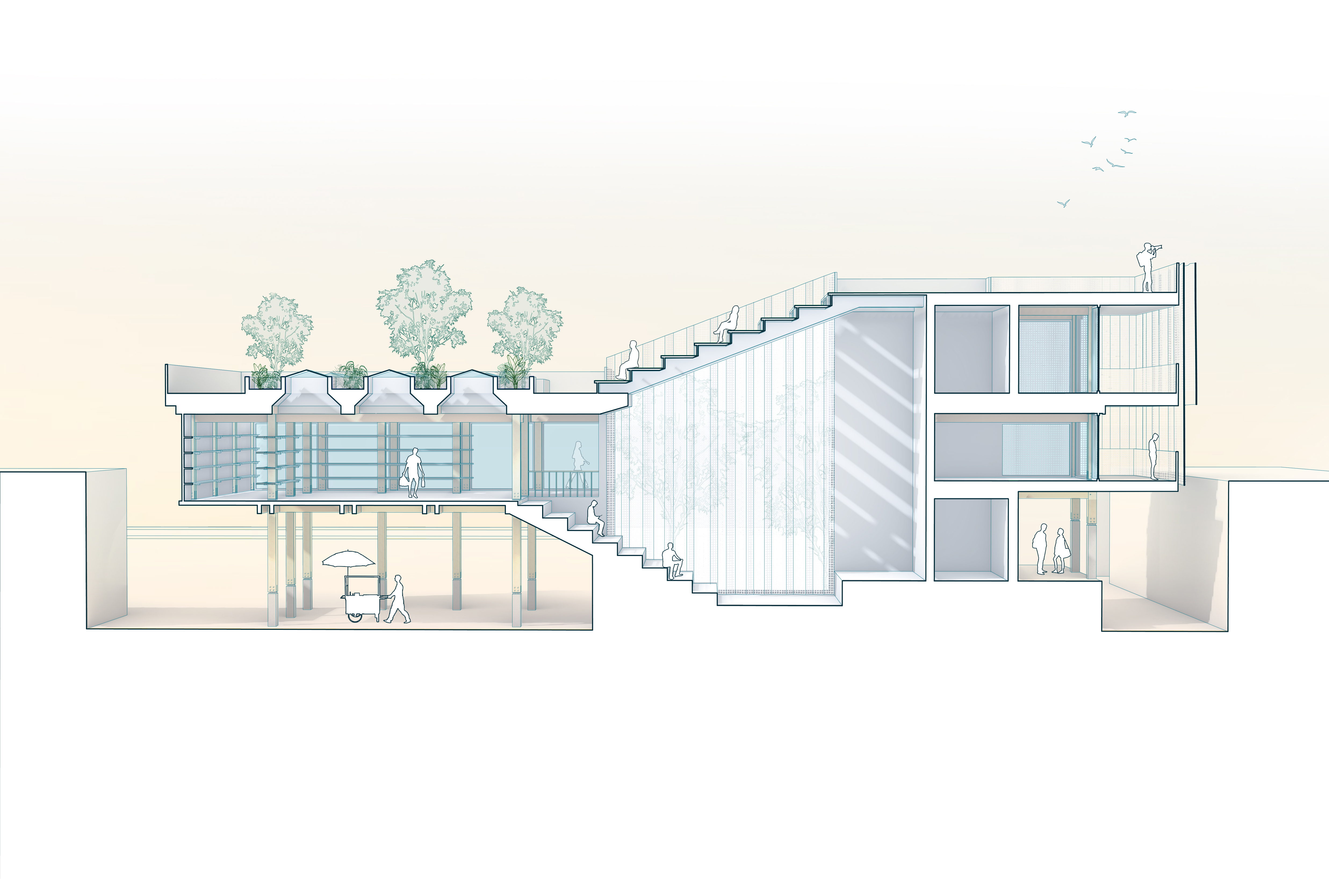 Section Perspective